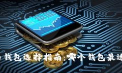 比特币钱包选择指南：哪