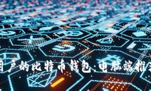 : 适合普通用户的比特币钱包:电脑端推荐与使用指南