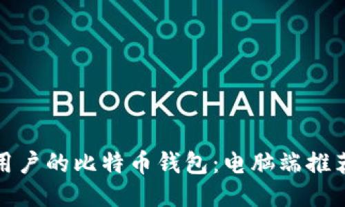 : 适合普通用户的比特币钱包:电脑端推荐与使用指南