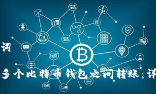 和关键词

如何在多个比特币钱包之间转账：详细指南