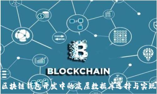 区块链钱包开发中的底层数据库选择与实现