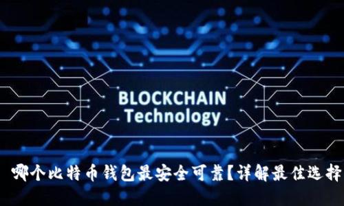 哪个比特币钱包最安全可靠?详解最佳选择