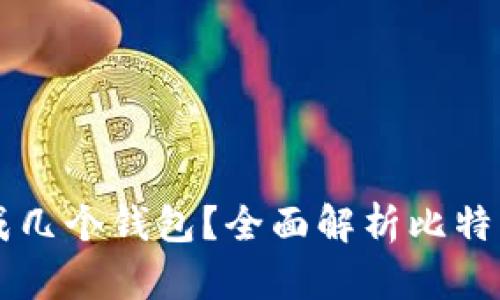 一个比特币可以分成几个钱包?全面解析比特币钱包的种类与使用
