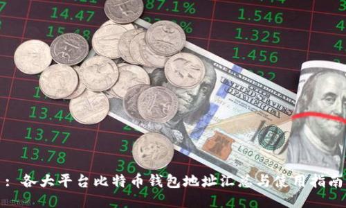 : 各大平台比特币钱包地址汇总与使用指南
