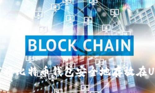 如何将比特币钱包安全地存放在U盘中