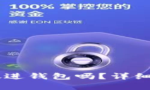: USDT币可以放进钱包吗?详细解析与使用指南