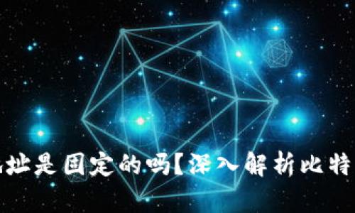 比特币钱包地址是固定的吗?深入解析比特币地址的特性