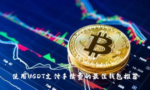 使用USDT支付手续费的最佳钱包推荐