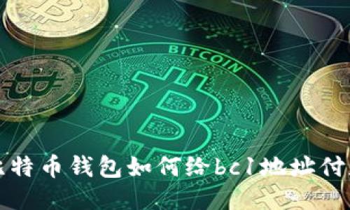 比特币钱包如何给bc1地址付款