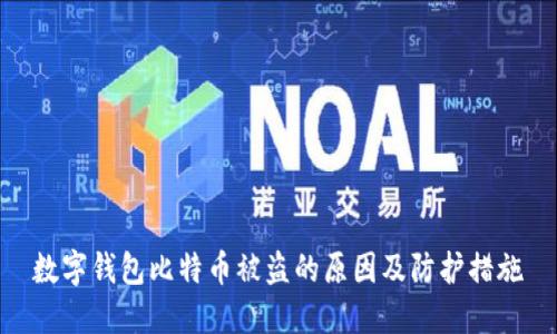 数字钱包比特币被盗的原因及防护措施