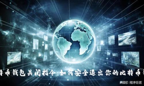 比特币钱包关闭指令:如何安全退出你的比特币钱包