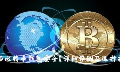 哪些比特币钱包安全?详细评测及选择指南