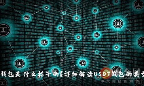 USDT的钱包是什么样子的?详细解读USDT钱包的类型与功能