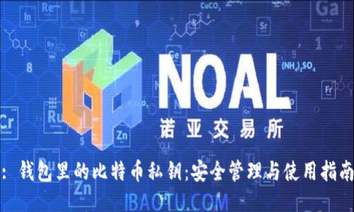 : 钱包里的比特币私钥:安全管理与使用指南