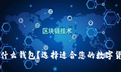 买虚拟币用什么钱包?选择适合您的数字货币钱包指南