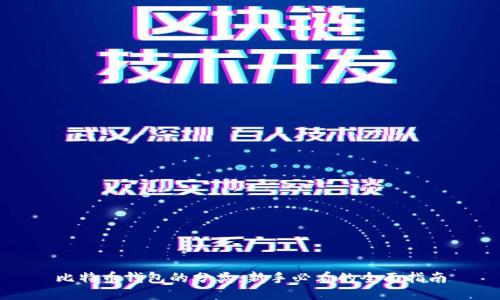 比特币钱包的分类:新手必看的全面指南
