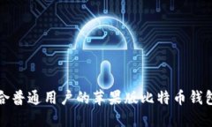 最适合普通用户的苹果版