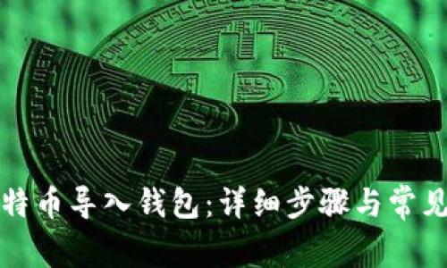 如何把比特币导入钱包:详细步骤与常见问题解答