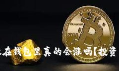 : 比特币放在钱包里真的会
