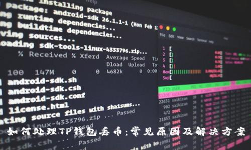如何处理TP钱包丢币:常见原因及解决方案