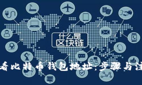 如何查看比特币钱包地址:步骤与注意事项