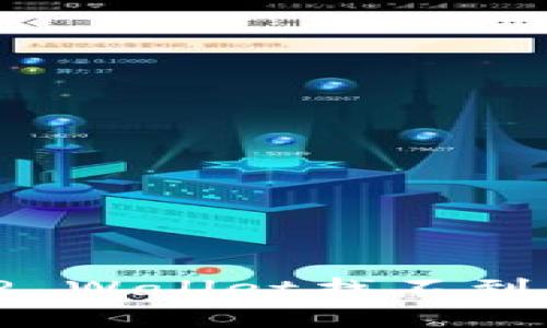 如何解决TP Wallet找不到私钥的问题