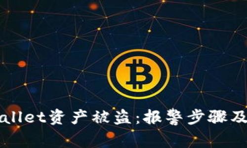 如何应对TPWallet资产被盗：报警步骤及后续处理指南