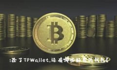 :除了TPWallet，还有哪些好