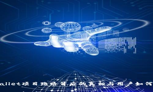 TPWallet项目跑路背后的真相与用户如何应对