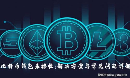 比特币钱包未接收：解决方案与常见问题详解