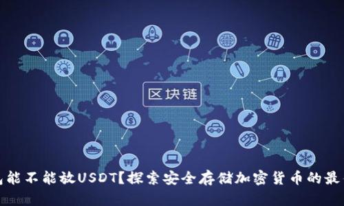 冷钱包能不能放USDT？探索安全存储加密货币的最佳选择