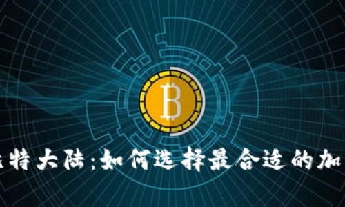 比特币钱包与比特大陆：如何选择最合适的加密货币存储方案