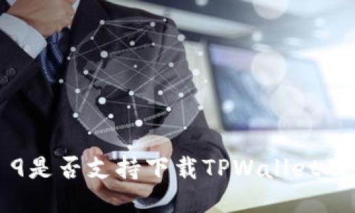 华为Mate 9是否支持下载TPWallet及其使用指南