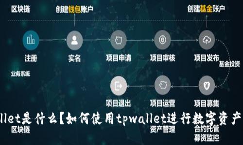 tpwallet是什么？如何使用tpwallet进行数字资产管理？