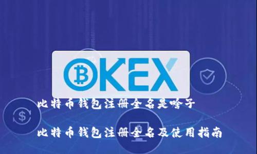 比特币钱包注册全名是啥子

比特币钱包注册全名及使用指南