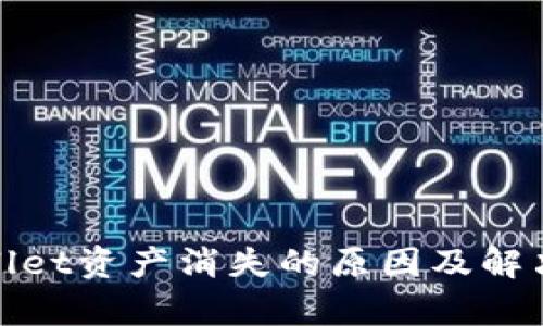 tpwallet资产消失的原因及解决方案