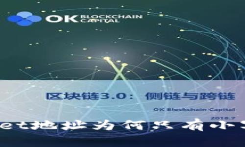 TPWallet地址为何只有小写字母？