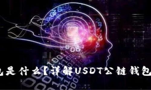 USDT公链钱包是什么？详解USDT公链钱包的功能与使用