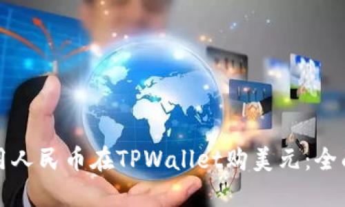 如何用人民币在TPWallet购美元：全面指南