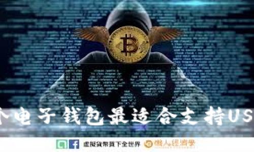 哪个电子钱包最适合支持USDT？