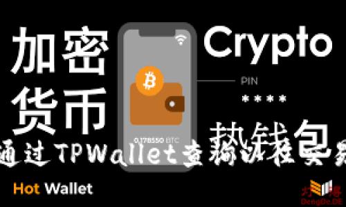 如何通过TPWallet查询以往交易记录