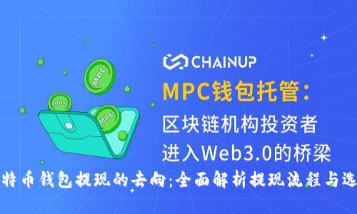 比特币钱包提现的去向：全面解析提现流程与选择