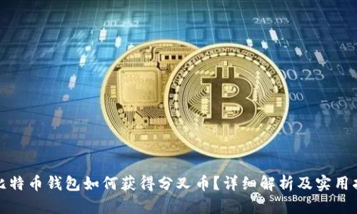 : 比特币钱包如何获得分叉币？详细解析及实用指南