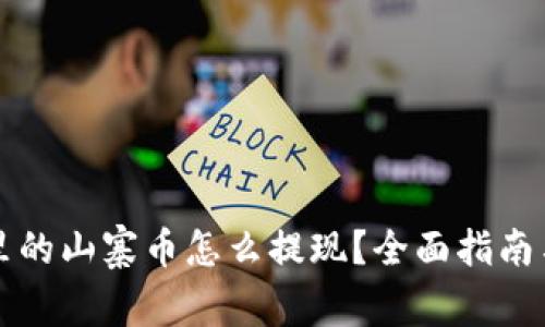 tpwallet里的山寨币怎么提现？全面指南与步骤解析