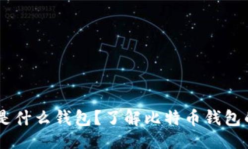 与关键词

11年比特币是什么钱包？了解比特币钱包的种类与选择