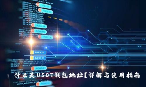 : 什么是USDT钱包地址？详解与使用指南