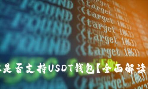 哈萨克斯坦是否支持USDT钱包？全面解读及使用指南