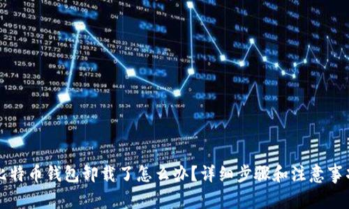 比特币钱包卸载了怎么办？详细步骤和注意事项