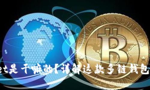 : TokenPocket是干嘛的？详解这款多链钱包的功能与优势