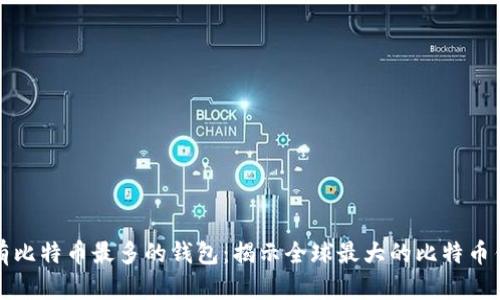 拥有比特币最多的钱包：揭示全球最大的比特币钱包